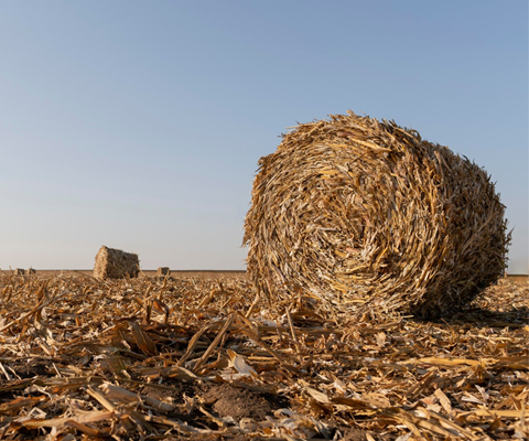Küçük Balya Saman