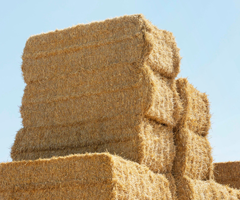 Çuvallı Preslenmiş Saman